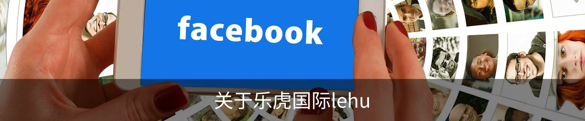 关于乐虎国际lehu